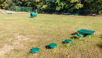 Dog park